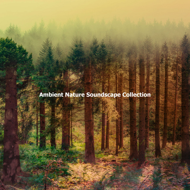 Chạm vào bình yên