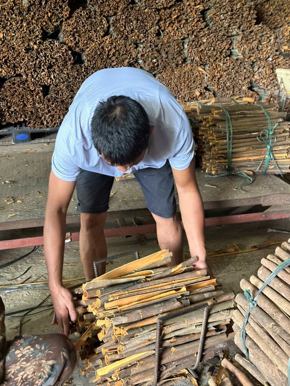 Quế chế thành (quế c)