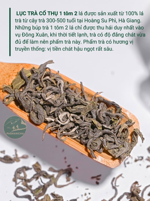 Lục trà cổ thụ  1 tôm 2 lá