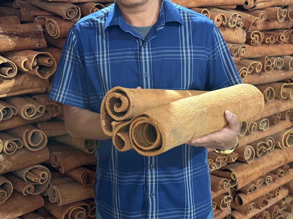 Quế điếu