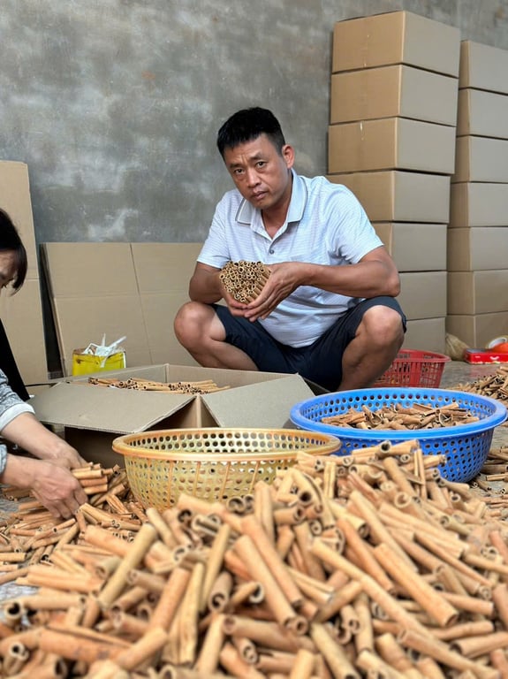 Quế Sáo