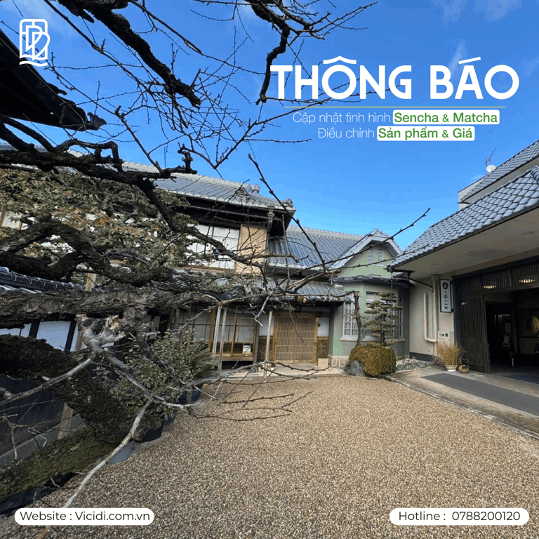 Matcha toàn cầu bùng nổ