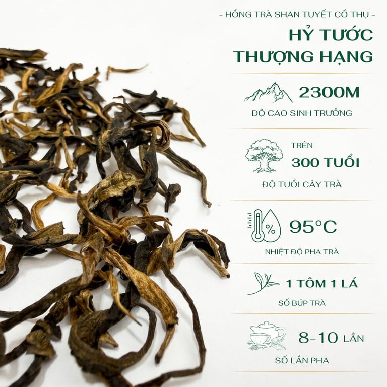 Hỷ Tước Thượng Hạng
