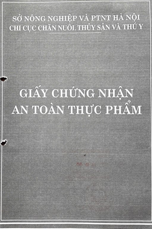 Hồ sơ pháp lý CÔNG TY TNHH THỰC PHẨM THƯƠNG MẠI THÀNH LỢI