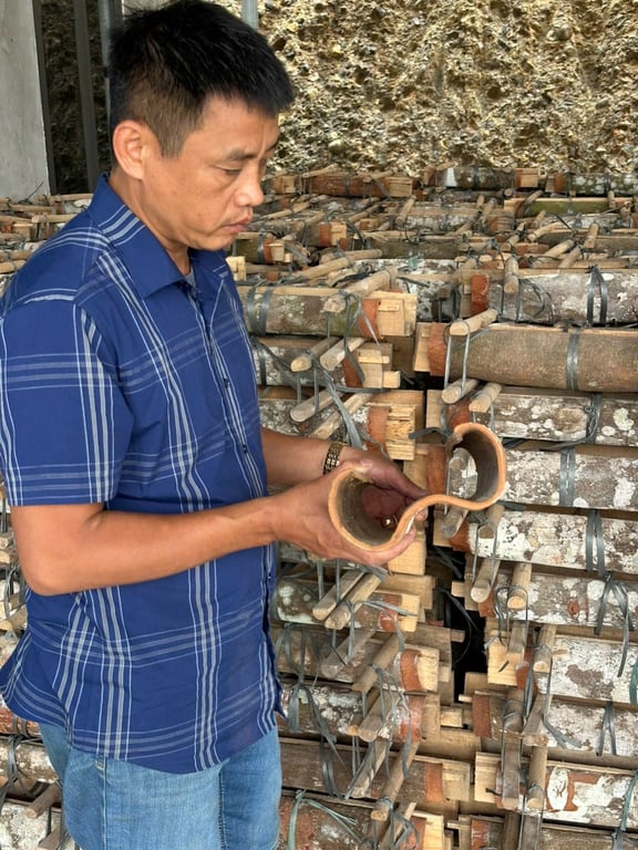 Quế số 3