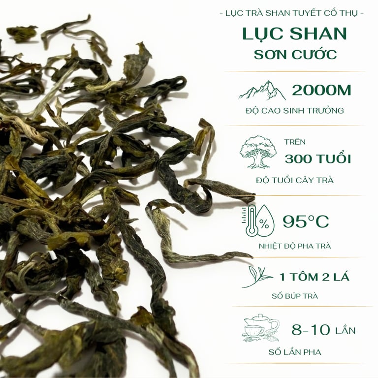 Lục Shan Sơn Cước