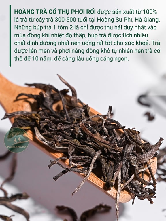 Hoàng trà cổ thụ phơi rối