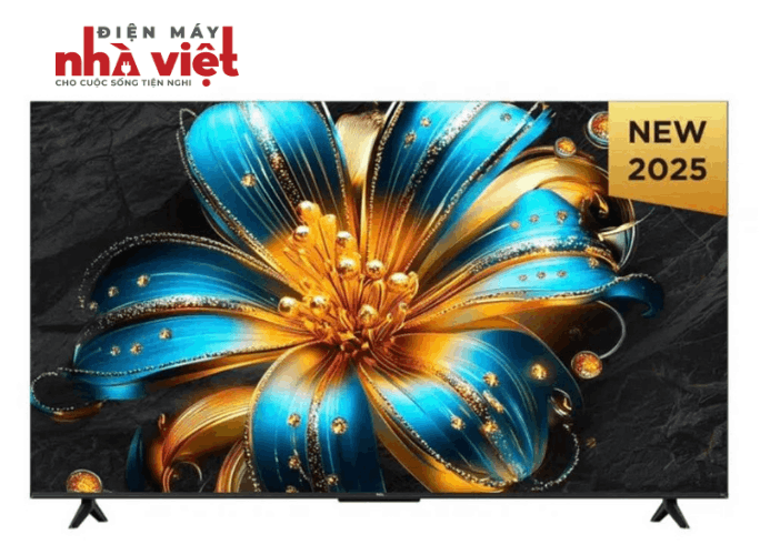 Google Tivi TCL QLED 4K 65 inch 65T6C