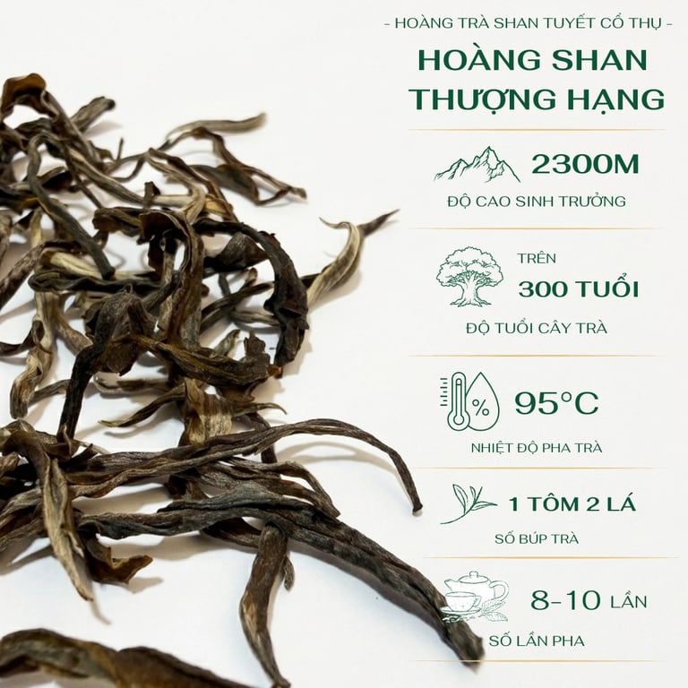 Hoàng Shan Thượng Hạng