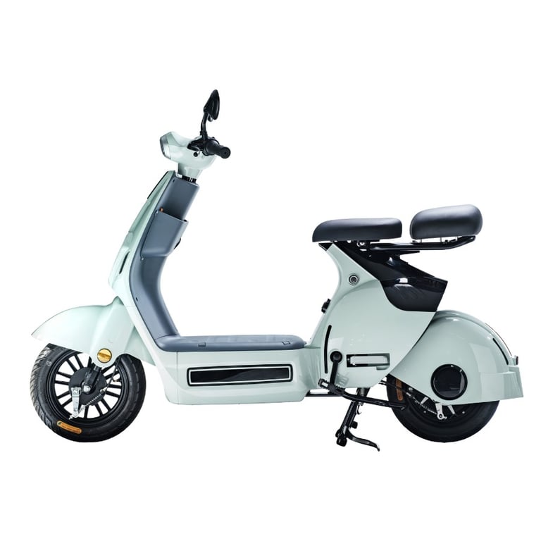   XE ĐIỆN TAKASHI X2 