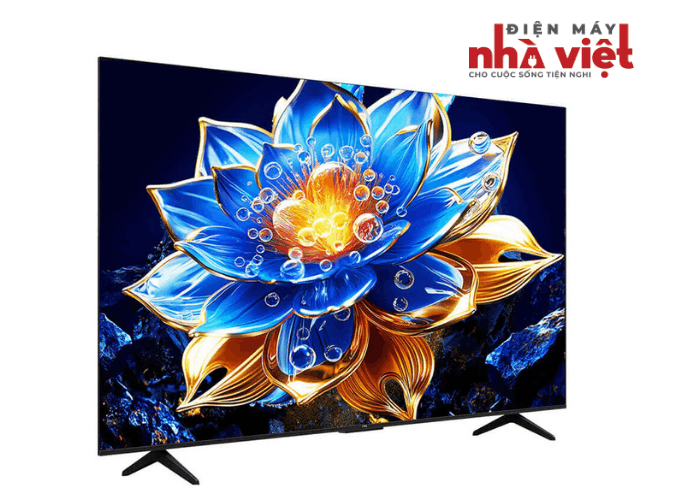 Google Tivi TCL 4K 55 inch 55P69K