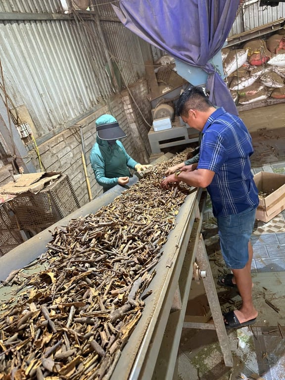 Quế vụn (quế đập)