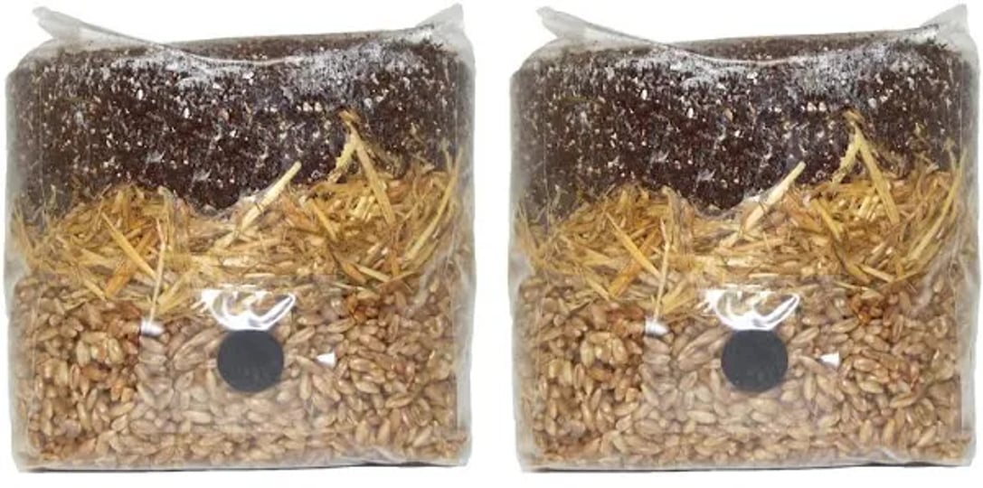 all-in-one-mushroom-grow-bag-2-pack-1