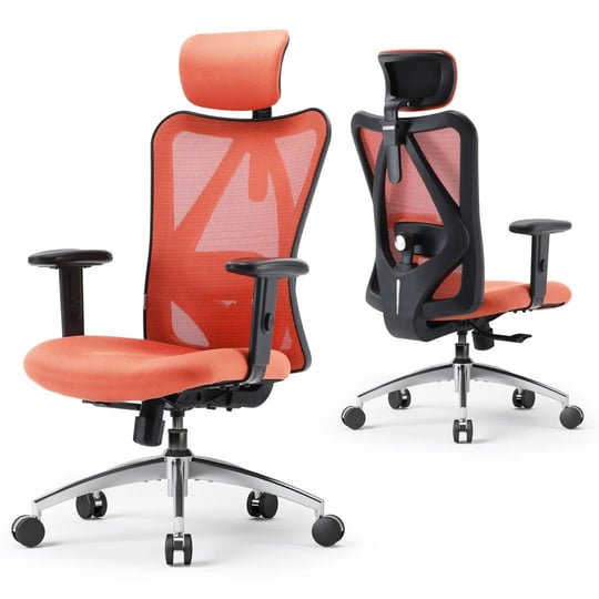 ashendon-ergonomic-mesh-office-chair-with-adjustable-lumbar-support-and-padded-armrests-for-300lbs-e-1