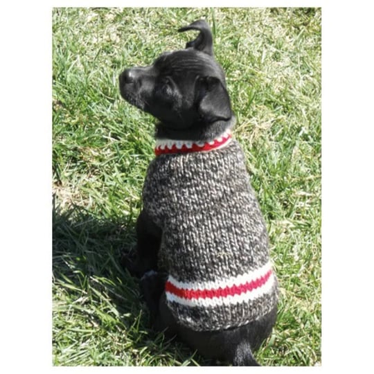 chilly-dog-boyfriend-dog-sweater-s-1