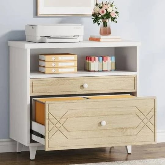 condemo-lateral-file-cabinet-2-drawer-filing-cabinet-for-letter-size-file-modern-office-storage-cabi-1
