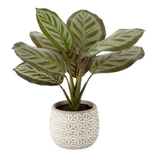 distant-lands-14-prayer-artificial-plant-green-one-size-home-accents-artificial-plants-back-to-colle-1