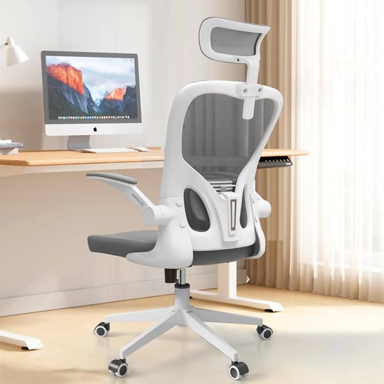 ergonomic-office-chair-home-office-desk-chairs-with-lumbar-support-3d-headrest-and-flip-up-arms-rock-1
