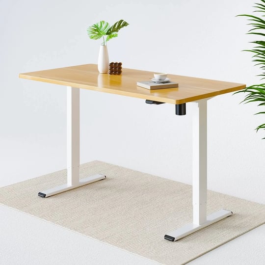 flexispot-best-electric-adjustable-standing-desk-e1-sit-stand-up-desk-home-office-desk-with-48-30-in-1