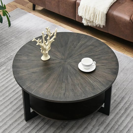 frame-coffee-table-with-storage-17-stories-color-black-1