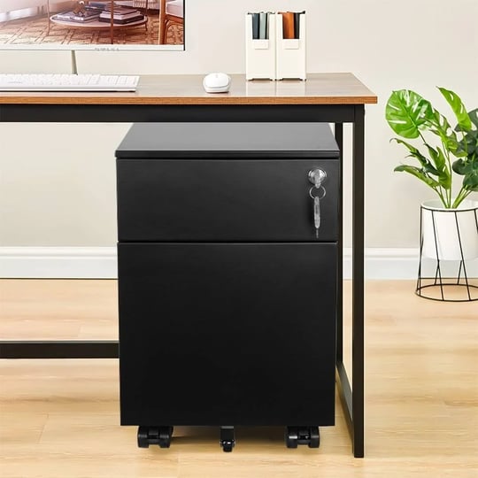 fully-assembled-2-drawer-file-cabinet-with-lock-legal-letter-a4-f4-size-compatibility-black-1