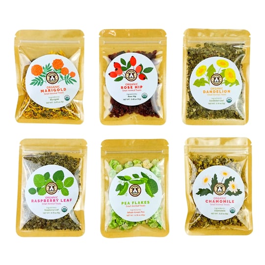 guineadad-organic-treat-sampler-guinea-pig-herbal-treats-guinea-pig-food-in-6-flavors-6-pack-guinea--1