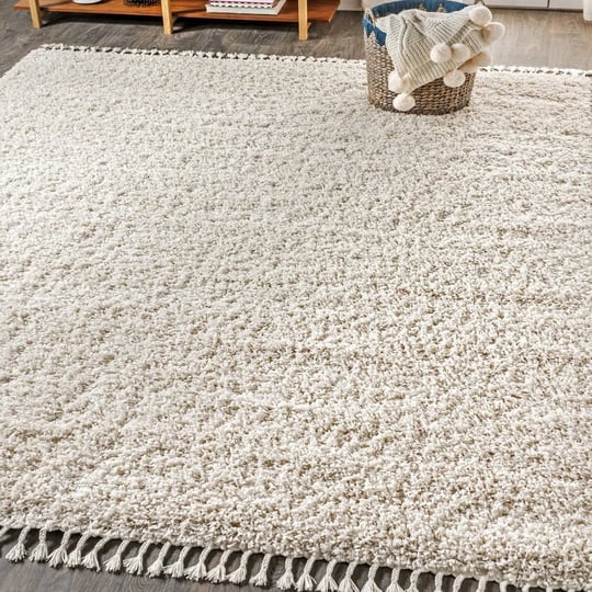 jonathan-y-mercer-shag-plush-tassel-area-rug-cream-3x5-feet-1