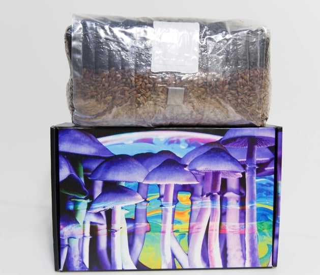 jumbo-6-pound-magic-all-in-one-mushroom-grow-bag-1