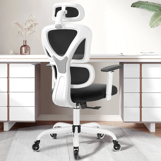 kerdom-high-back-ergonomic-home-office-chair-with-adjustable-lumbar-support-1