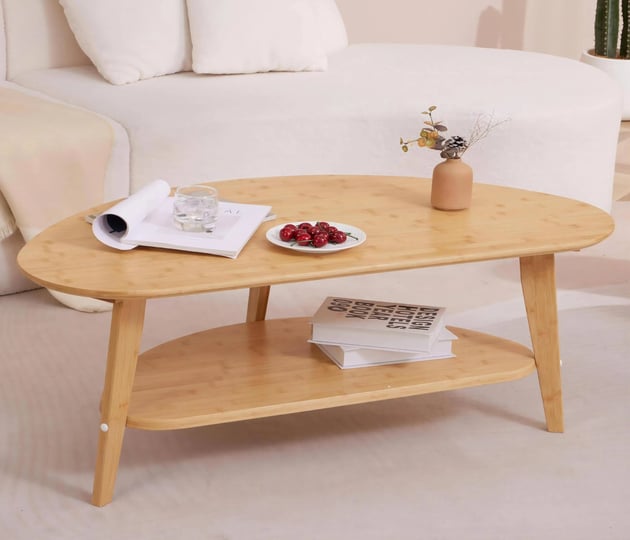 navrex-mid-century-modern-table-with-storage-shelf-oval-coffee-table-for-living-room-41-5-nature-bam-1