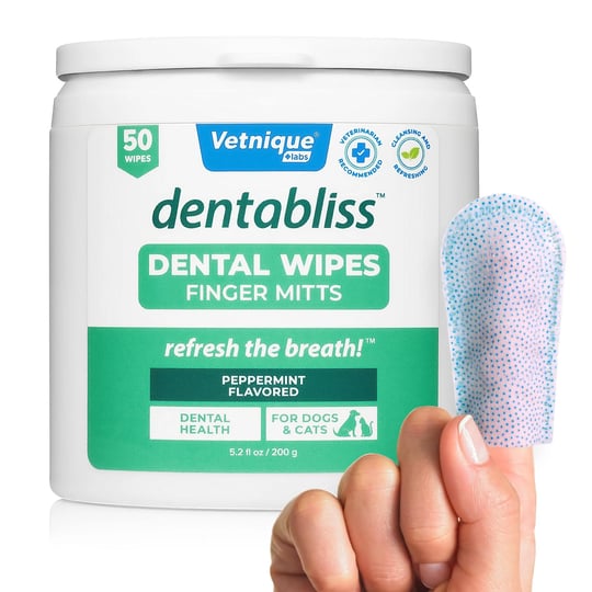 new-dentabliss-daily-dental-wipes-finger-mitts-50-count-jar-1