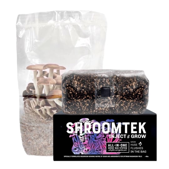northspore-shroomtek-all-in-one-mushroom-grow-bag-1