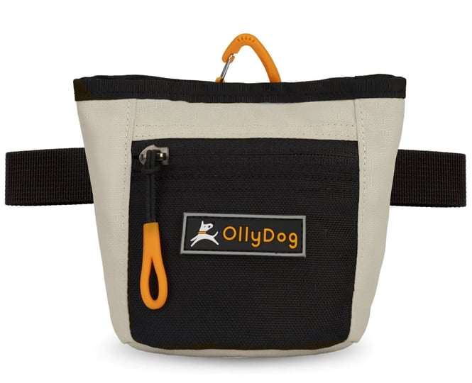 olly-dog-goodie-treat-bag-bluff-1