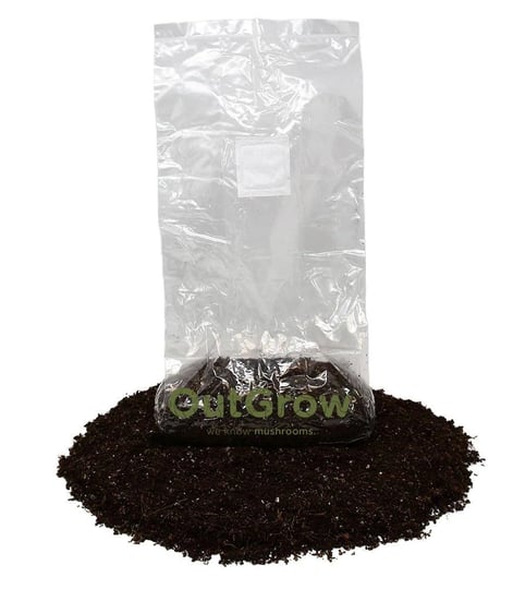 pasteurized-manure-based-mushroom-substrate-in-mushroom-grow-bag-1
