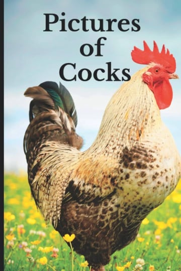 pictures-of-cocks-funny-white-elephant-yankee-swap-secret-santa-gift-stupid-gifts-ideas-book-1