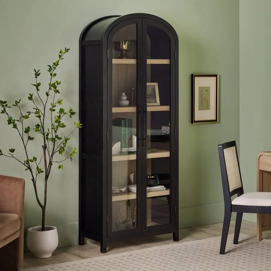ridunel-modern-arched-standard-bookcase-with-glass-doors-hokku-designs-color-black-1