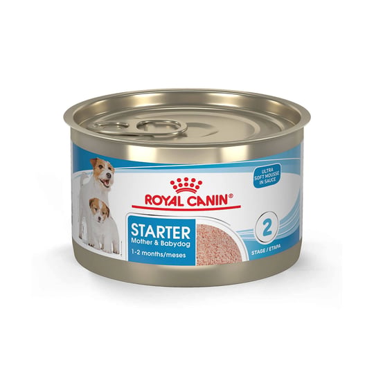 royal-canin-starter-mousse-in-sauce-mother-babydog-dog-food-5-1-oz-1