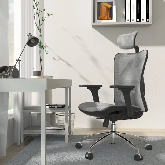 sihoo-high-back-ergonomic-office-mesh-desk-chair-with-armrest-lumbar-support-300lb-gray-1