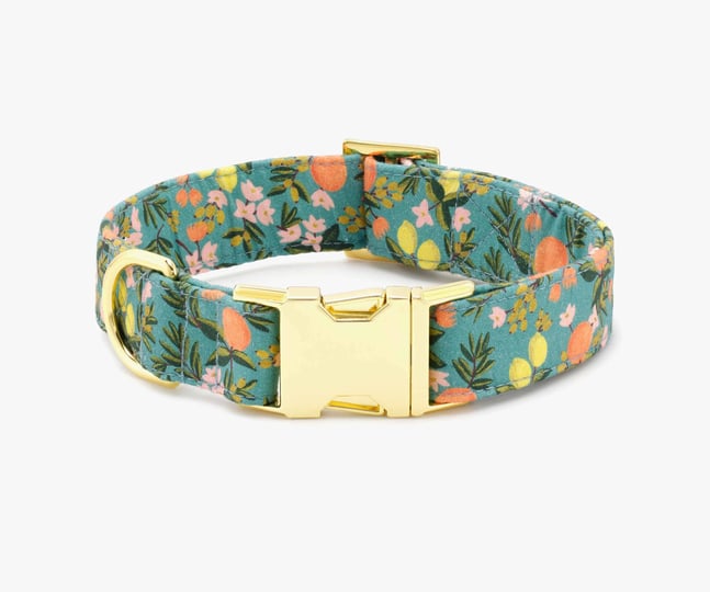 the-foggy-dog-rifle-paper-co-x-tfd-citrus-floral-dog-collar-xs-gold-1