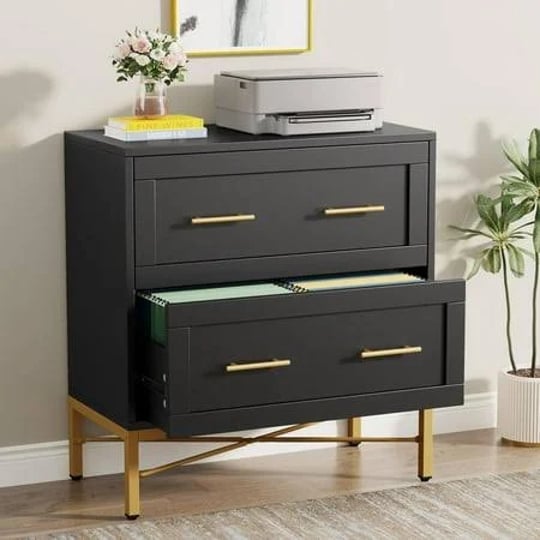 tribesigns-2-drawer-file-cabinet-modern-lateral-filing-cabinet-for-letter-legal-a4-large-printer-cab-1