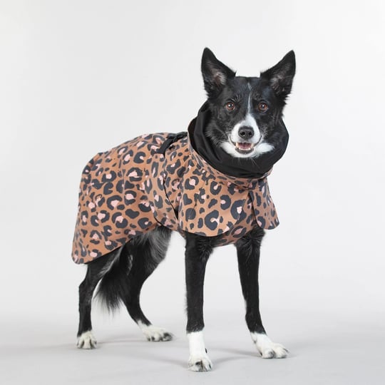 visibility-raincoat-lite-leo-for-dogs-50-1