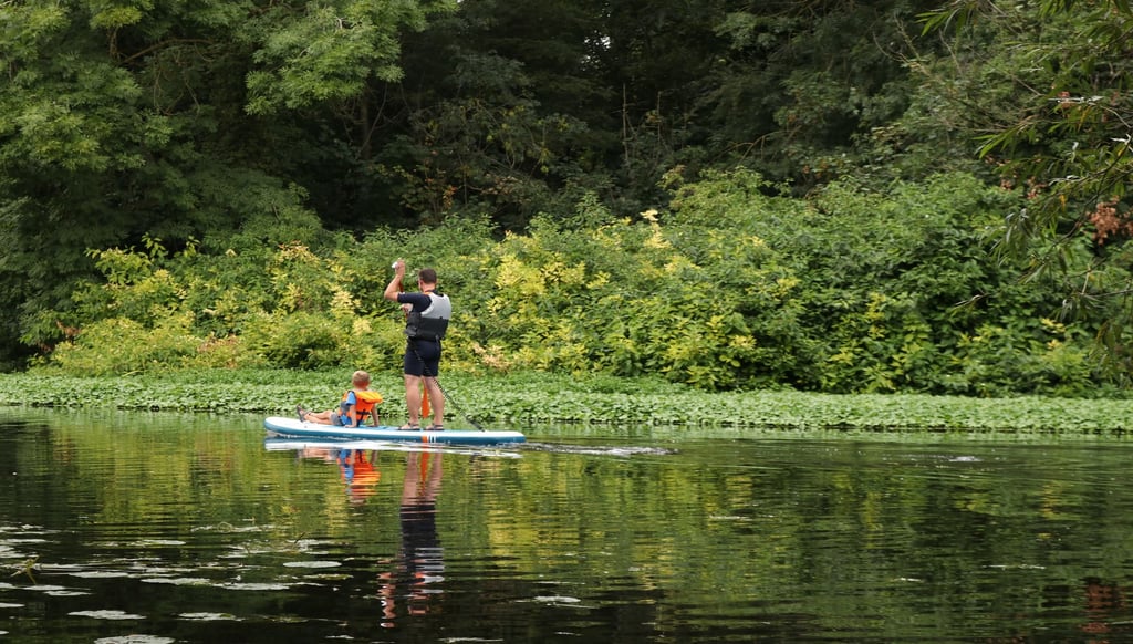 Man and boy paddleboarding. Used on advisory committees page.