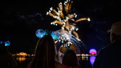 Fireworks Cruise - EPCOT thumbnail