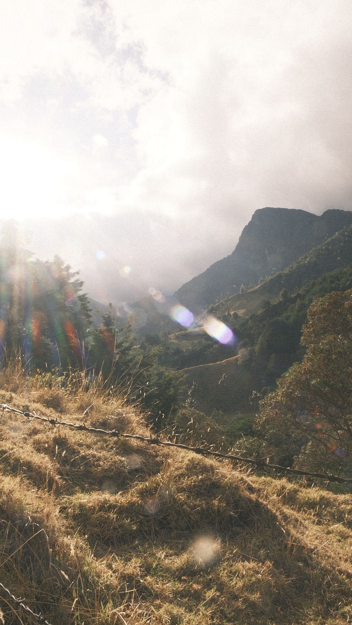 Luz de la tarde sobre una ladera de pasto seco y montañas