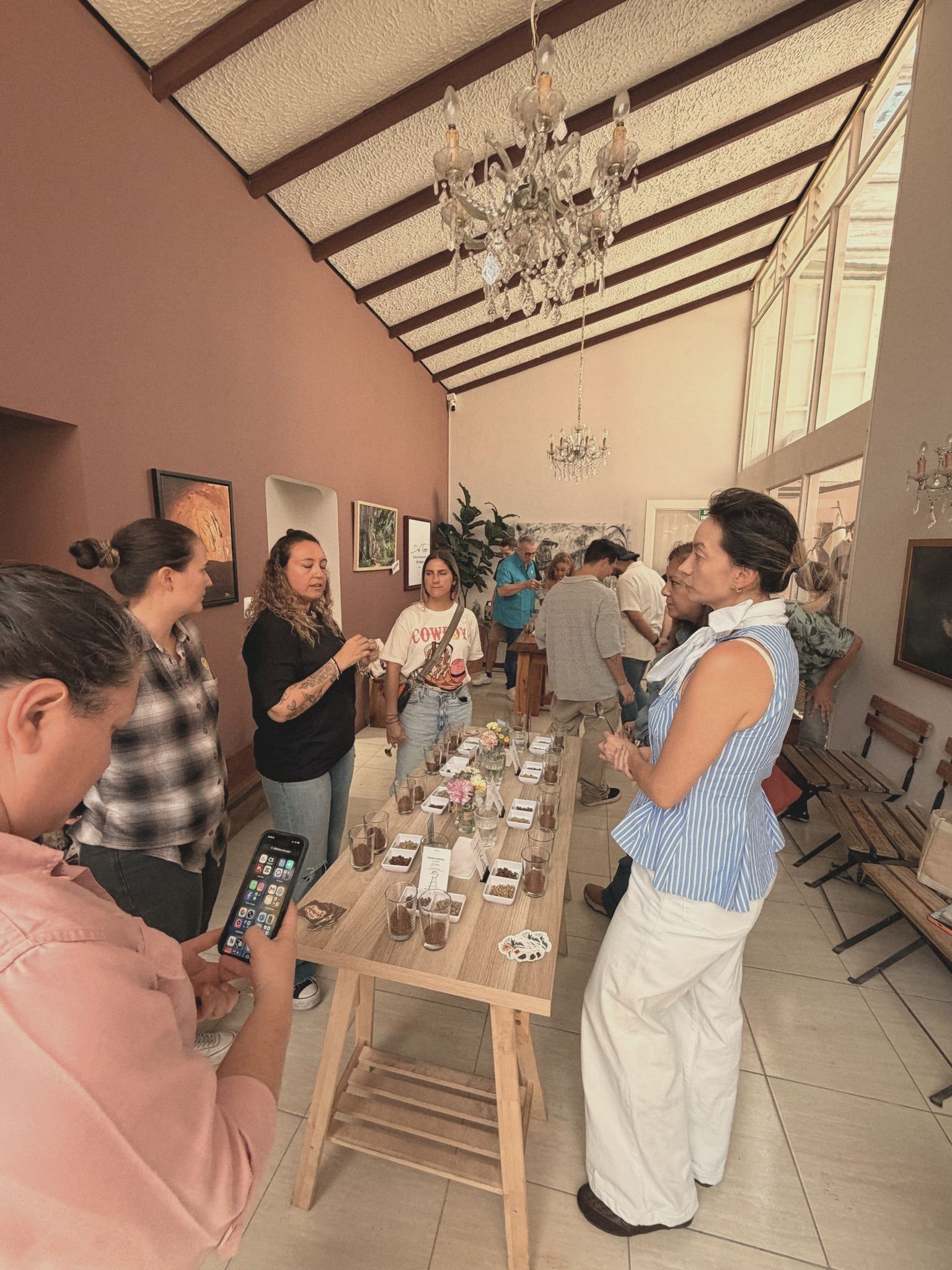 Una cata en la sala larga bajo las lámparas de cristal: tazas en fila sobre una mesa y gente probando