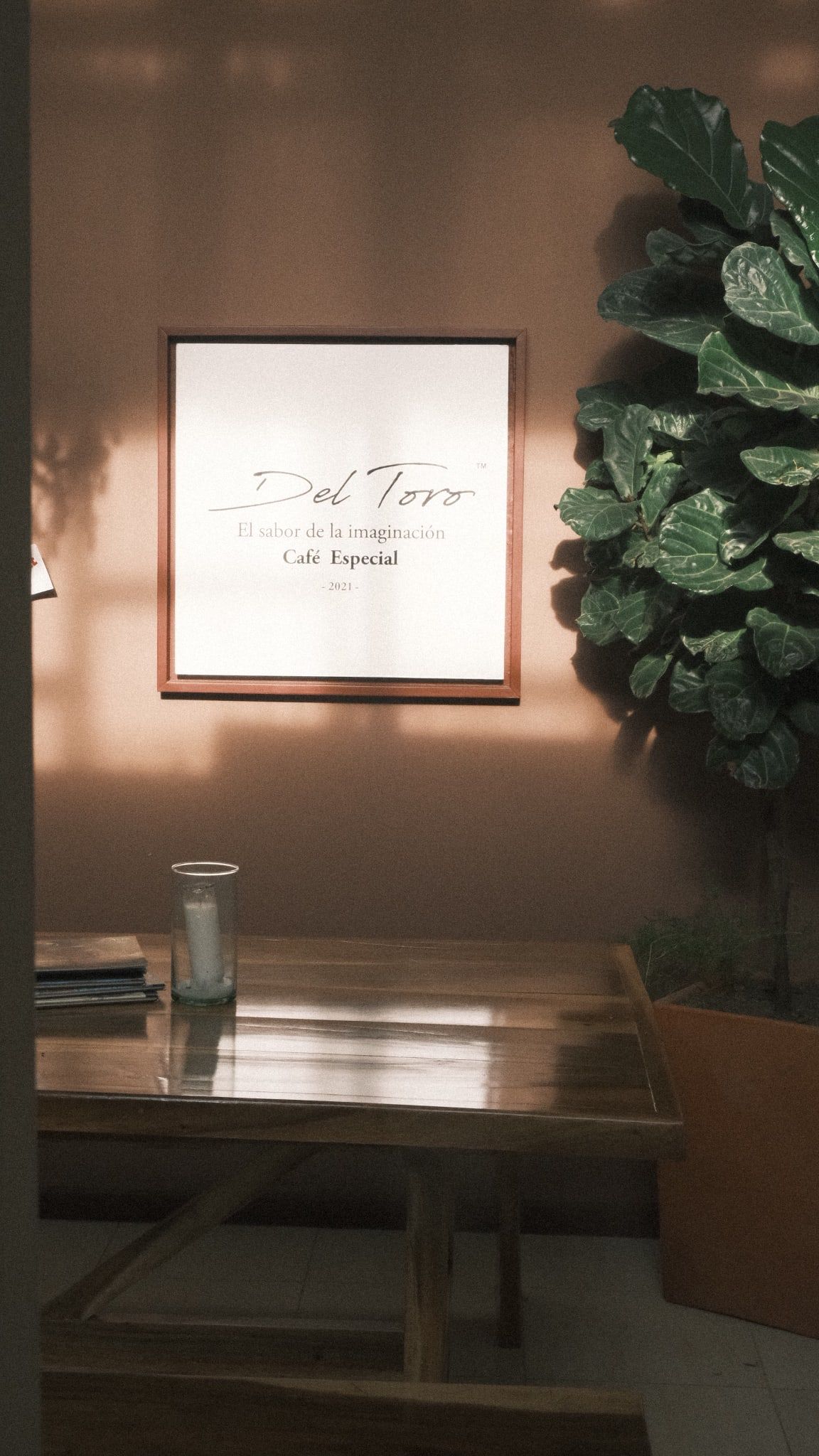 La placa de Del Toro Café, «El sabor de la imaginación», en una pared rosada con la luz de la tarde y un árbol de hojas grandes al lado