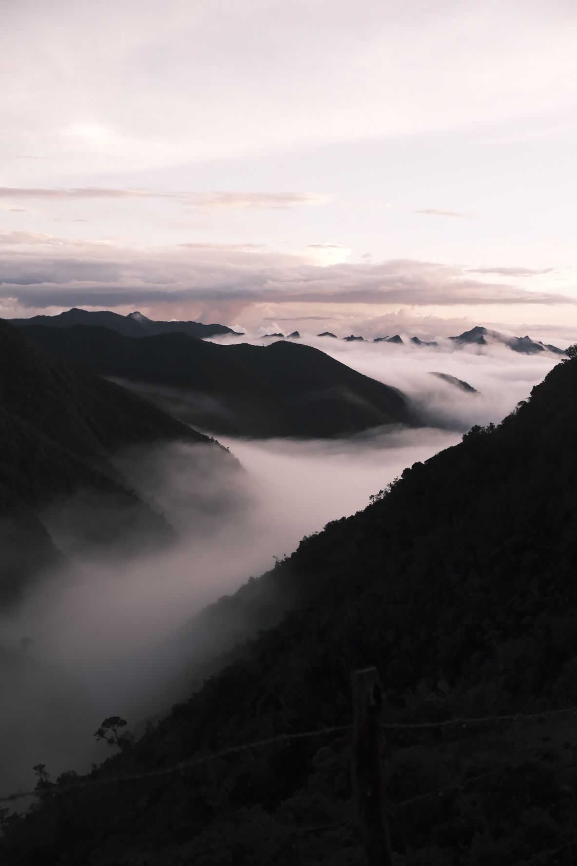 Un mar de nubes cubre el cañón al amanecer
