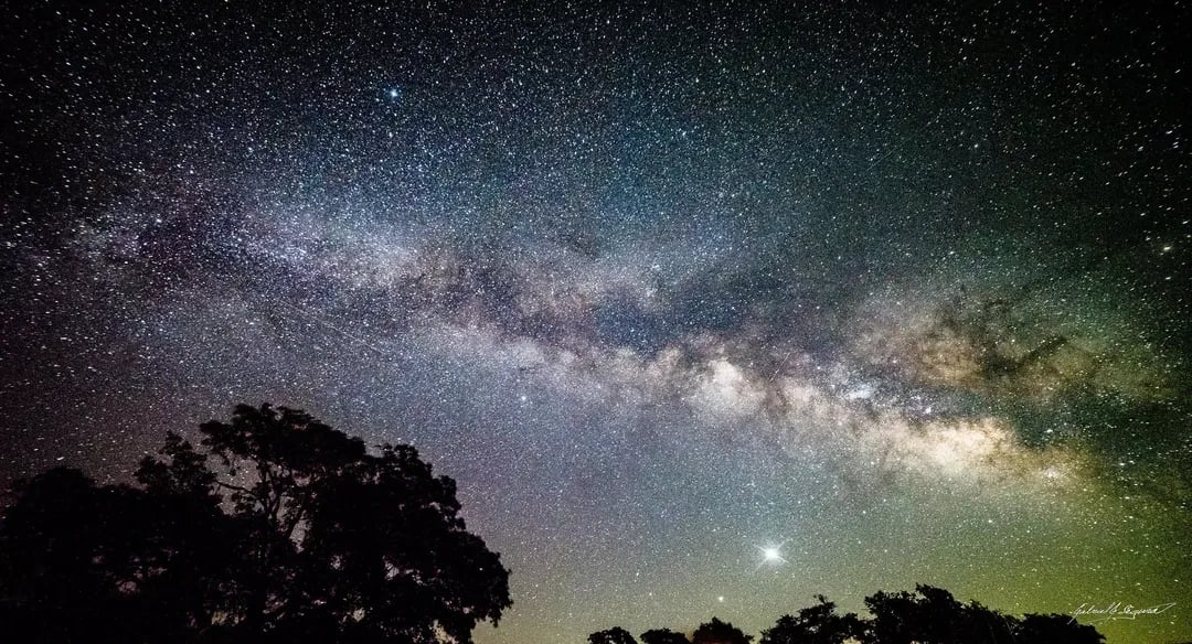 Cosmos of Fredericksburg Experience