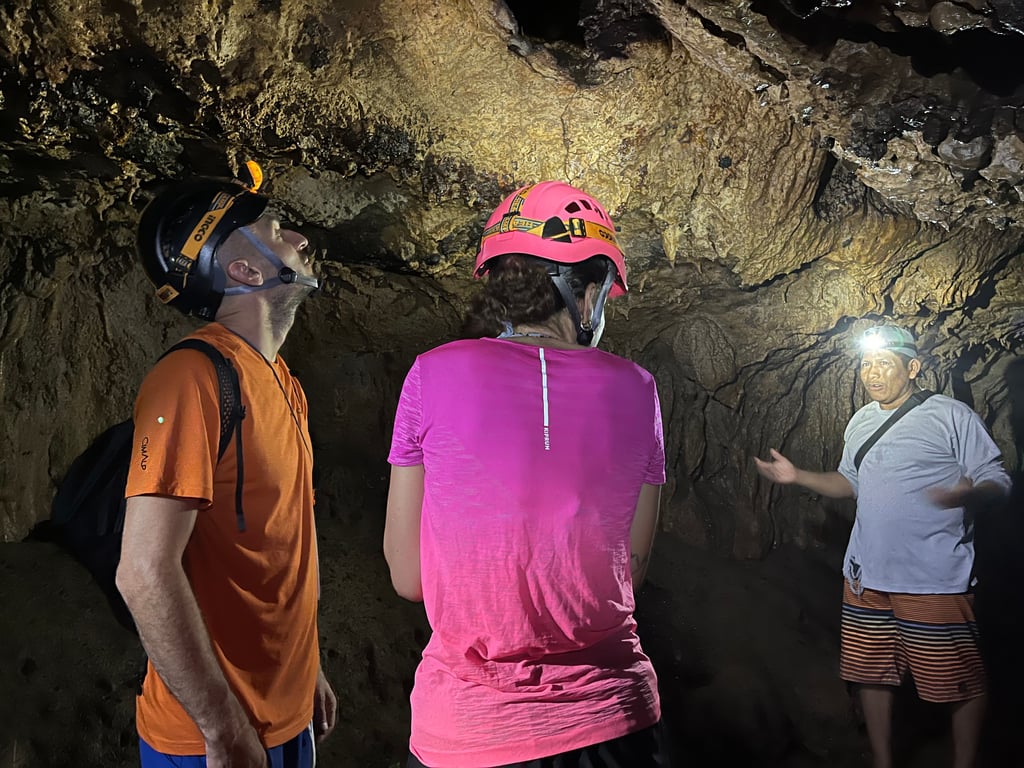Explore the Bat Cave's Secrets