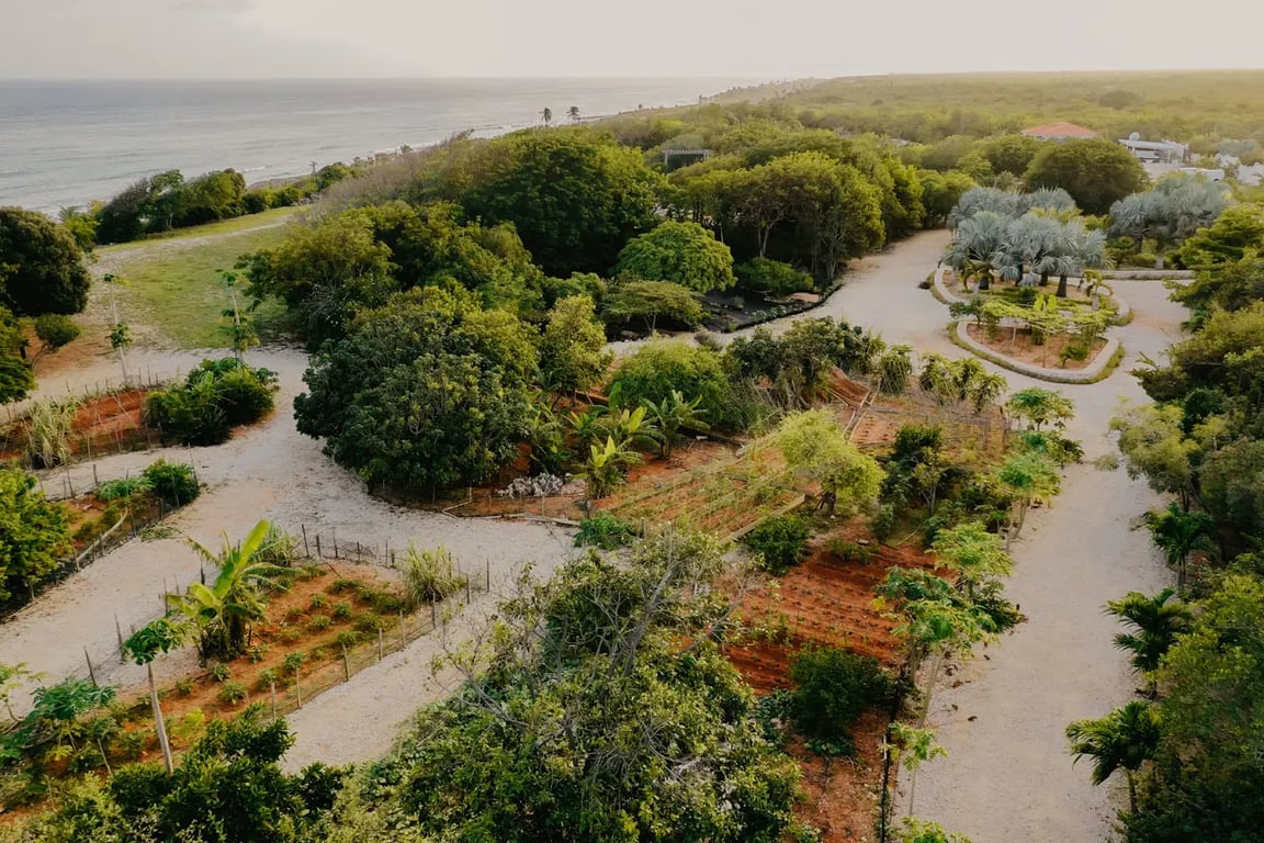 Island Tour Experience